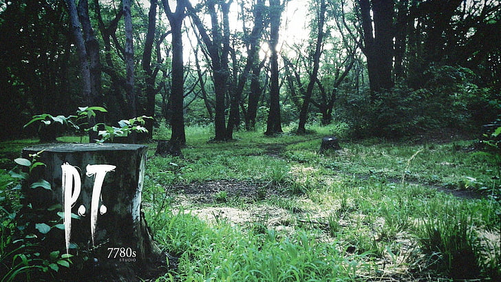 P.T. | Why This Dead Demo Still Haunts Our Dreams in 2026 👻